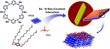 Graphical abstract: Fabrication of well-defined crystalline azacalixarene nanosheets assisted by Se⋯N non-covalent interactions