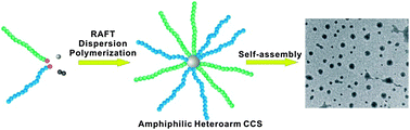 Graphical abstract: Amphiphilic heteroarm star polymer synthesized by RAFT dispersion polymerization in water/ethanol solution