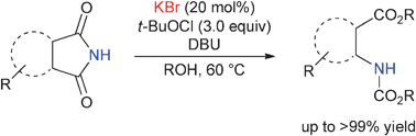 Graphical abstract: Effect of catalytic alkali metal bromide on Hofmann-type rearrangement of imides