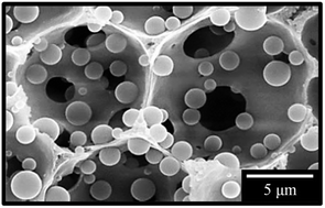 Graphical abstract: Synthesis of microsphere-loaded porous polymers by combining emulsion and dispersion polymerisations in supercritical carbon dioxide