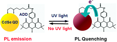 Graphical abstract: Photoswitchable quantum dots by controlling the photoinduced electron transfers