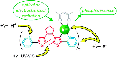 Graphical abstract: Multifunctional switching of a photo- and electro-chemiluminescent iridium–dithienylethene complex