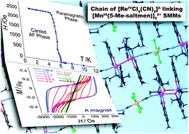 Graphical abstract: A canted antiferromagnetic ordered phase of cyanido-bridged MnIII2ReIV single-chain magnets