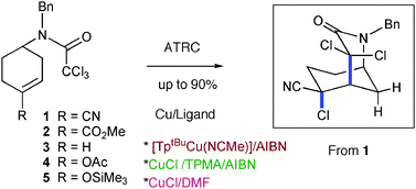 Graphical abstract: Cu(i)-catalyzed atom transfer radical cyclization of trichloroacetamides tethered to electron-deficient, -neutral, and -rich alkenes: synthesis of polyfunctionalized 2-azabicyclo[3.3.1]nonanes
