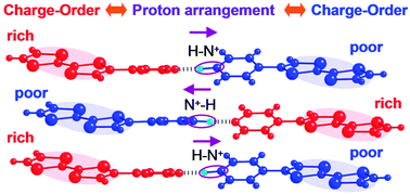 Graphical abstract: Charge-order driven proton arrangement in a hydrogen-bonded charge-transfer complex based on a pyridyl-substituted TTF derivative