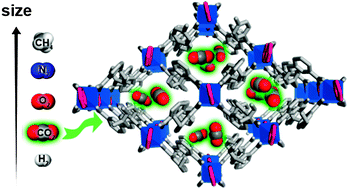Graphical abstract: Selective CO2 adsorption in a metal–organic framework constructed from an organic ligand with flexible joints