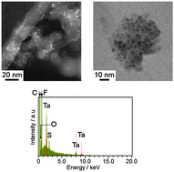 Graphical abstract: Highly-dispersed Ta-oxide catalysts prepared by electrodeposition in a non-aqueous plating bath for polymer electrolyte fuel cell cathodes
