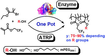 Graphical abstract: Combining chemoenzymatic monomer transformation with ATRP: a facile “one-pot” approach to functional polymers
