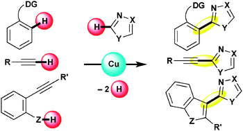 Graphical abstract: Copper-mediated oxidative direct C–C (hetero)aromatic cross-coupling