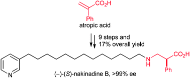 Graphical abstract: (−)-(S)-Nakinadine B: first asymmetric synthesis