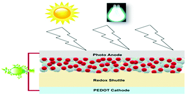 Graphical abstract: Towards flexibility: metal free plastic cathodes for dye sensitized solar cells