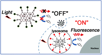 Graphical abstract: Graphene oxide–photosensitizer conjugate as a redox-responsive theranostic agent