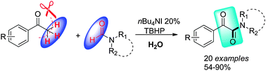 Graphical abstract: nBu4NI-catalyzed direct synthesis of α-ketoamides from aryl methyl ketones with dialkylformamides in water using TBHP as oxidant