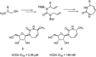 Graphical abstract: A facile synthetic route to diazepinone derivatives via ring closing metathesis and its application for human cytidine deaminase inhibitors