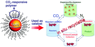 Graphical abstract: In situ recyclable gold nanoparticles using CO2-switchable polymers for catalytic reduction of 4-nitrophenol