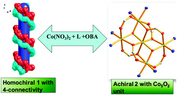 Graphical abstract: Structure–property relationship of homochiral and achiral supramolecular isomers obtained by one-pot synthesis