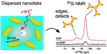 Graphical abstract: Indirect and direct 29Si dynamic nuclear polarization of dispersed nanoparticles