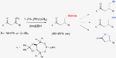 Graphical abstract: γ-Selective directed catalytic asymmetric hydroboration of 1,1-disubstituted alkenes