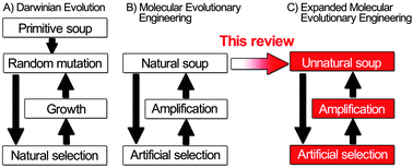 Graphical abstract: Expansion of the aptamer library from a “natural soup” to an “unnatural soup”