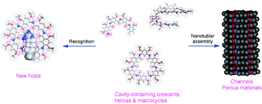 Graphical abstract: Cavity-containing, backbone-rigidified foldamers and macrocycles