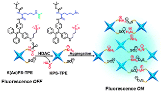 Graphical abstract: A fluorescent probe for detection of histone deacetylase activity based on aggregation-induced emission