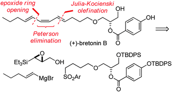 Graphical abstract: Total synthesis of (+)-bretonin B: access to the (E,Z,E)-triene core by a late-stage Peterson elimination of a convergently assembled silyl ether