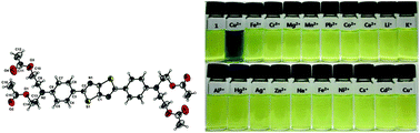 Graphical abstract: A thiazolothiazole based Cu2+ selective colorimetric and fluorescent sensor via unique radical formation