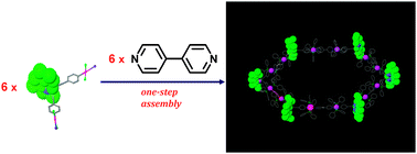 Graphical abstract: Efficient supramolecular synthesis of a robust circular light-harvesting Bodipy-dye based array