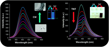 Graphical abstract: Cyanide modulated fluorescent supramolecular assembly of a hexaphenylbenzene derivative for detection of trinitrotoluene at the attogram level
