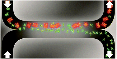 Graphical abstract: Controlled perturbation of the thermodynamic equilibrium by microfluidic separation of porphyrin-based aggregates in a multi-component self-assembling system