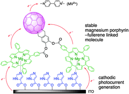 Graphical abstract: Photostability of a dyad of magnesium porphyrin and fullerene and its application to photocurrent conversion