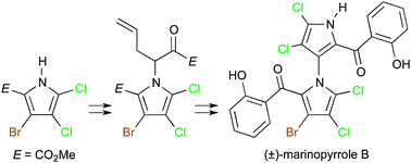 Graphical abstract: Racemic marinopyrrole B by total synthesis
