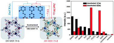 Graphical abstract: Two novel MOF-74 analogs exhibiting unique luminescent selectivity