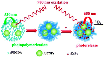Graphical abstract: Novel multifunctional NaYF4:Er3+,Yb3+/PEGDA hybrid microspheres: NIR-light-activated photopolymerization and drug delivery