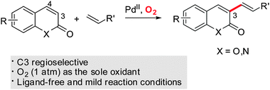 Graphical abstract: Regioselective palladium-catalyzed olefination of coumarins via aerobic oxidative Heck reactions