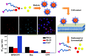 Graphical abstract: A prodrug nanoassembly entrapping drugs as a tumor-targeted delivery system
