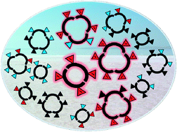 Graphical abstract: The emergence of halophilic evolutionary patterns from a dynamic combinatorial library of macrocyclic pseudopeptides