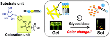 Graphical abstract: Supramolecular hydrogels based on bola-amphiphilic glycolipids showing color change in response to glycosidases