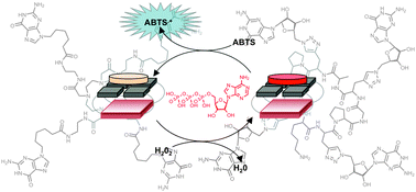 Graphical abstract: Closer to nature: an ATP-driven bioinspired catalytic oxidation process