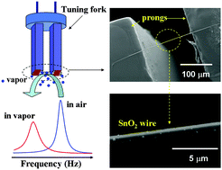 Graphical abstract: A mechanical actuated SnO2 nanowire for small molecules sensing