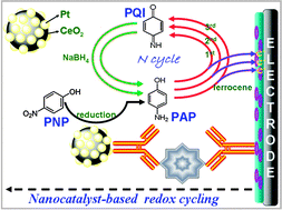 Graphical abstract: In situ amplified electronic signal for determination of low-abundance proteins coupling with nanocatalyst-based redox cycling