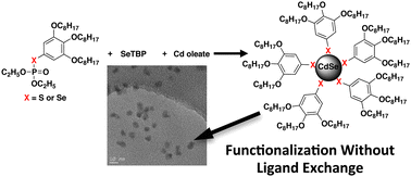Graphical abstract: A one pot organic/CdSe nanoparticle hybrid material synthesis with in situ π-conjugated ligand functionalization