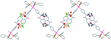 Graphical abstract: Deciphering anion–π-acceptor interactions and detecting fluoride using a naphthalenediimide-based Pd(ii) coordination polymer