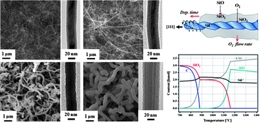 Graphical abstract: Gas-phase synthesis and growth mechanism of SiC/SiO2 core–shell nanowires