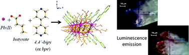 Graphical abstract: Luminescent lead(ii) complexes: new three-dimensional mixed ligand MOFs