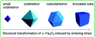 Graphical abstract: Controlled growth and magnetic properties of α-Fe2O3 nanocrystals: Octahedra, cuboctahedra and truncated cubes