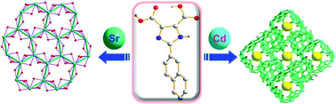 Graphical abstract: Two unprecedented strontium(ii) and cadmium(ii) MOFs constructed from 2-naphthyl imidazole dicarboxylate ligand