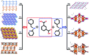 Graphical abstract: Syntheses, crystal structures and properties of transition metal coordination polymers based on isophthalic acid and flexible bis(pyridyl) ligand with unsymmetrical spacer: influence of metal cations, ligand conformations and coordination modes