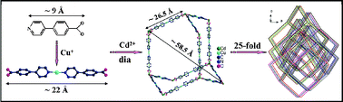 Graphical abstract: Deliberate design of a neutral heterometallic organic framework containing a record 25-fold interpenetrating diamondoid network