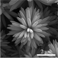 Graphical abstract: Growth of flower-like ZnO via surfactant-free hydrothermal synthesis on ITO substrate at low temperature